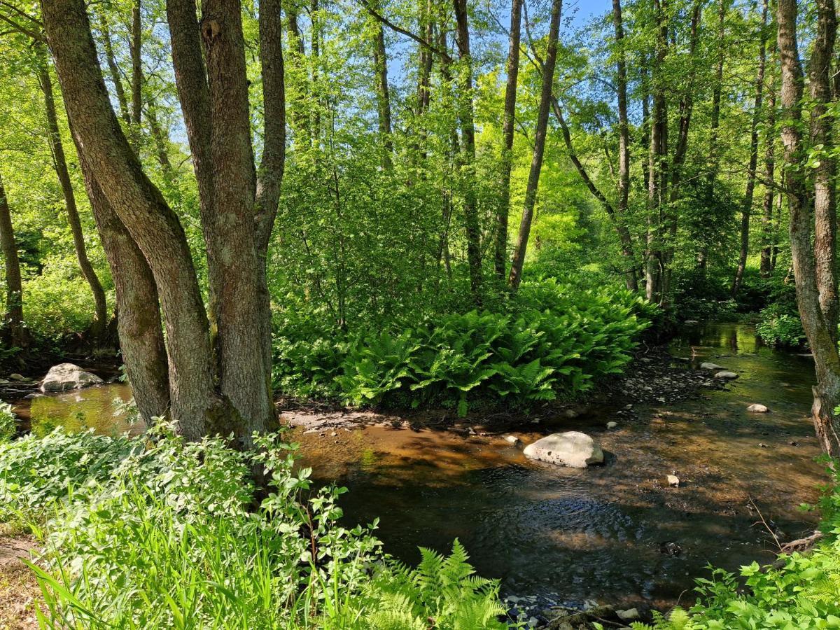 Elulille Maja Mere Laeheduses Lahemaa Ruepes Andineeme Exterior foto